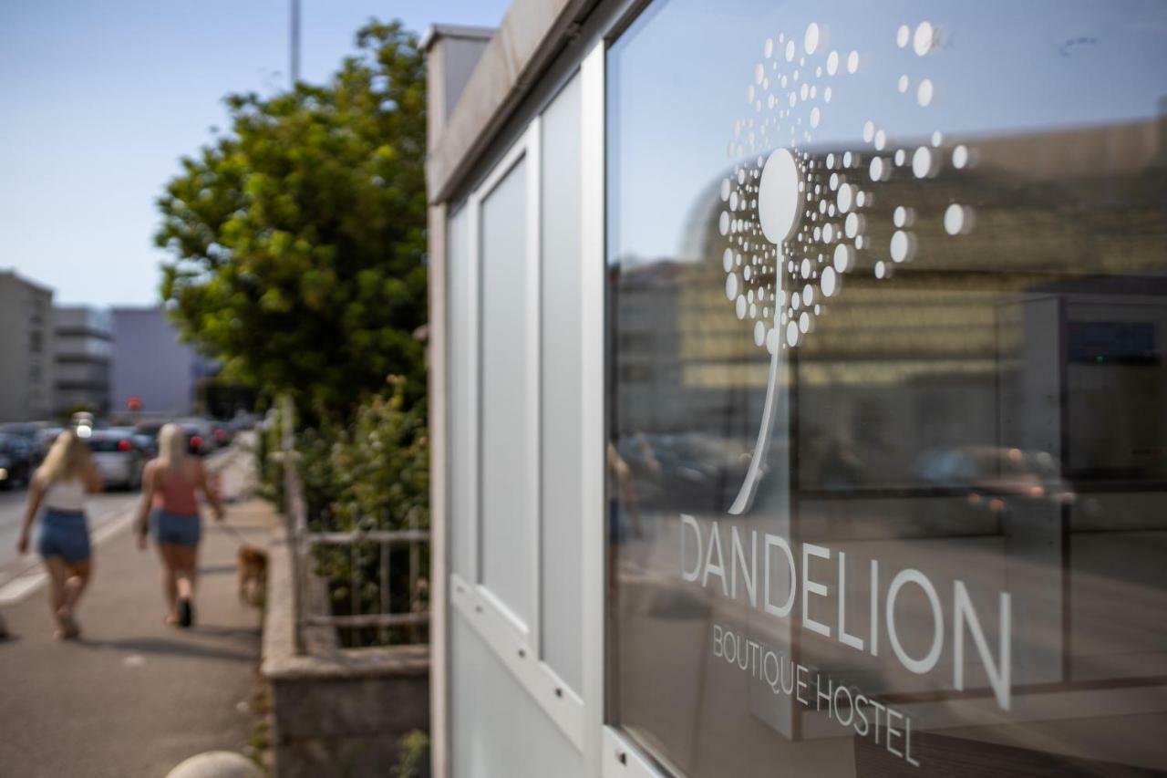 Hostel Dandelion Zadar Exteriér fotografie